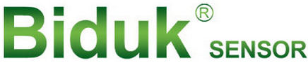 Biduk